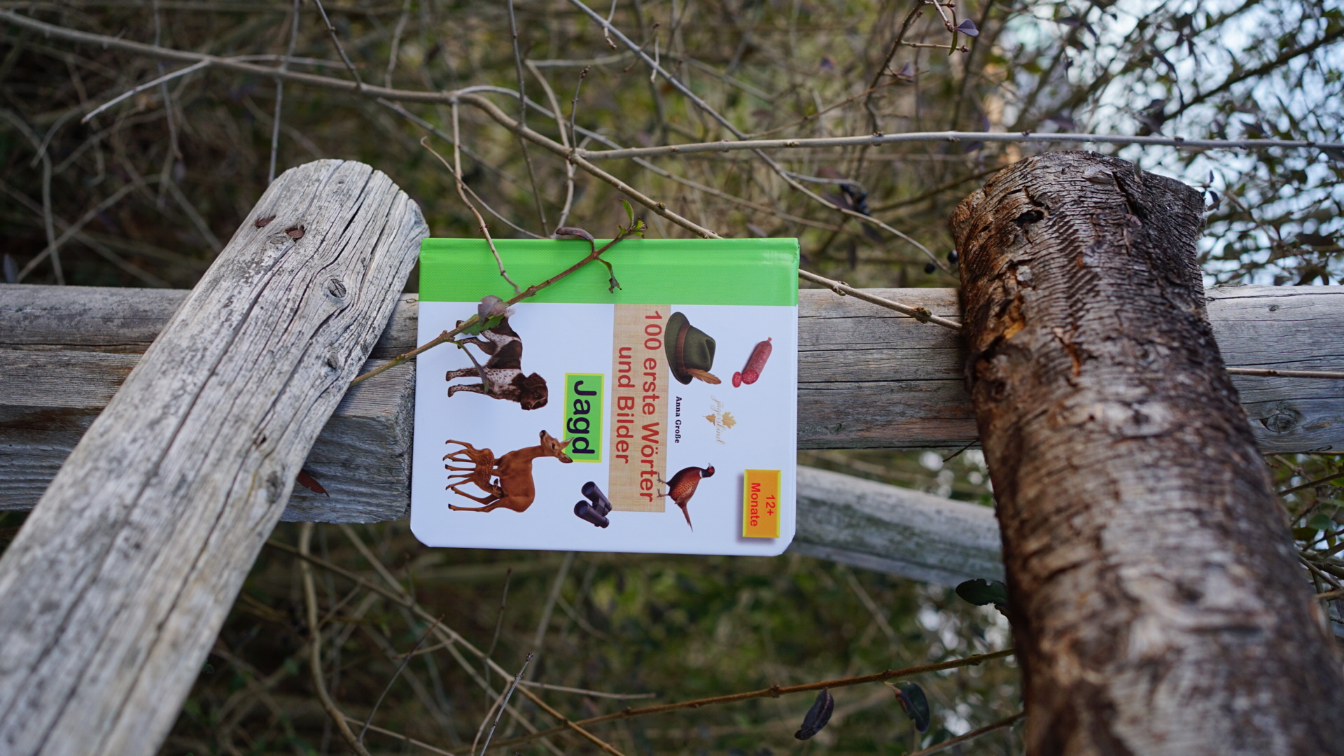 Wörterbuch Jagd für Kinder