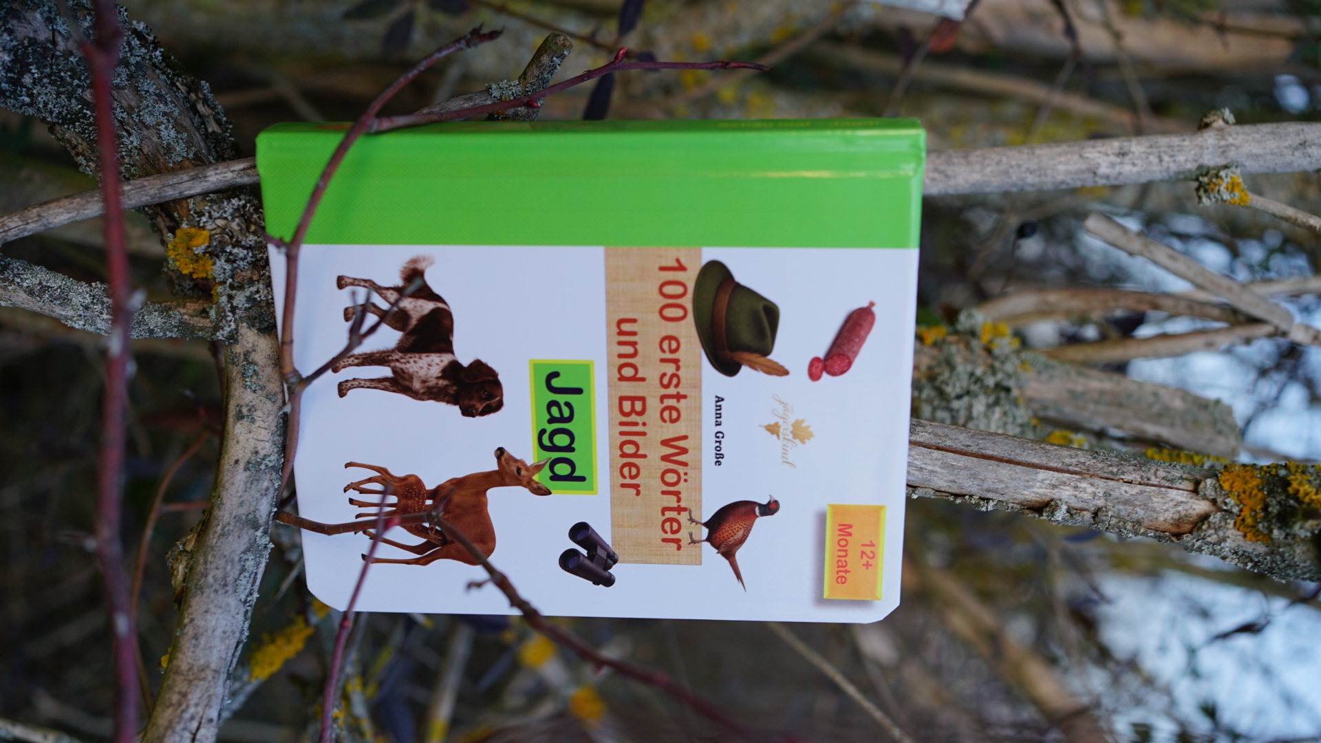 100 Erste Wörter und Bilder Jagd